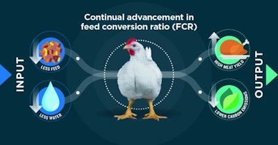 Advances in feed rate conversion mean that today’s broilers require less feed and water but produce higher yields with lower emissions. Aviagen