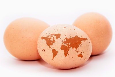 An egg with a shape of an detailed earth map