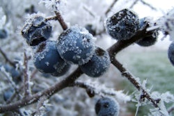 Mart1n | FreeImages.com