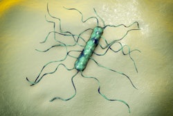 Listeria contamination is only infrequently associated with the farm and is carried into the processing plant by live broilers. (Dr_Microbe | BigStock.com)