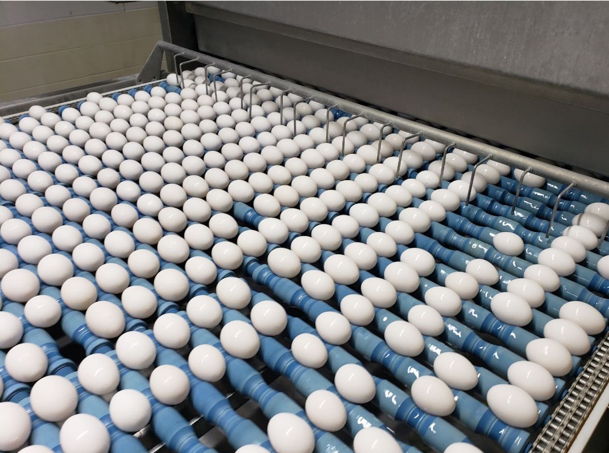 Which states produce the most eggs?