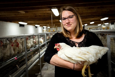 Sara Orlowski, assistant professor of poultry science, is selecting broilers for water efficiency. Her aim is to breed for birds that maintain consistent feed conversion and weight gain while consuming less water. (Fred Miller | University of Arkansas)