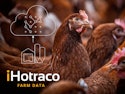 I Hotraco Farm Date