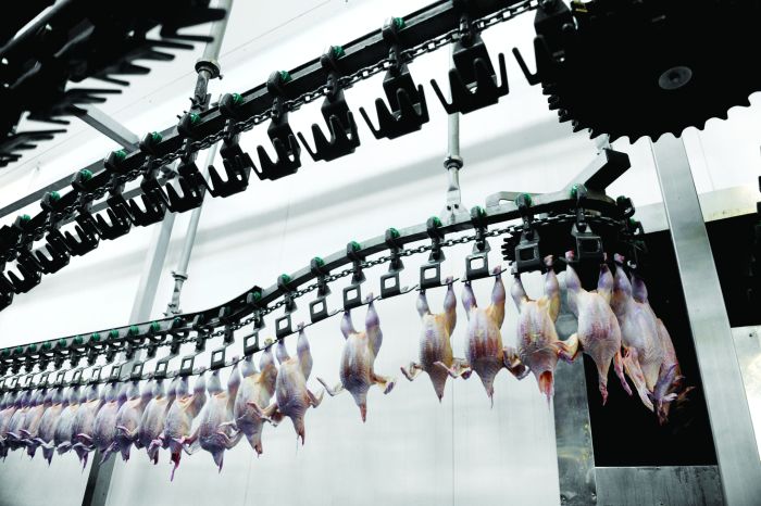 How new practices can boost poultry processing | WATTPoultry.com
