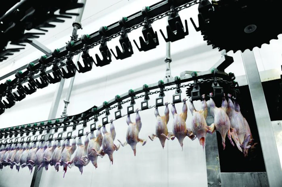Processores Broiler How new practices can boost poultry processing | WATTPoultry.com