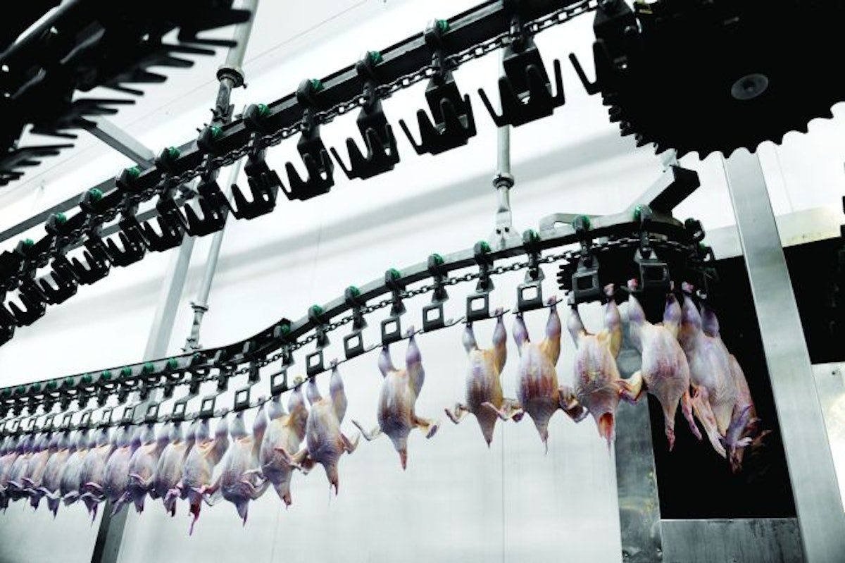 Poultry Processing Tech: Wings still rule