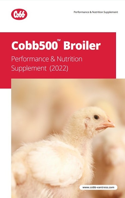 Cobb500 Broiler