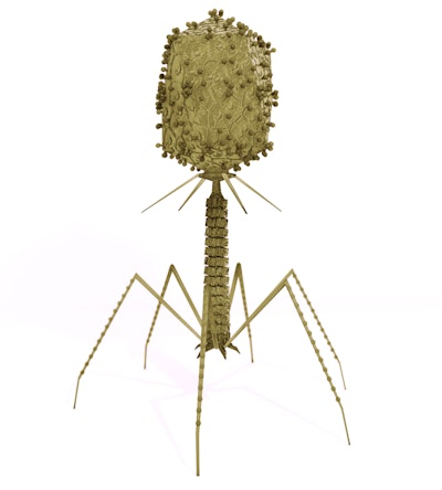 Bacteriophages target and destroy specific strains of bacteria. This offers great, potential antimicrobial properties. (Aunt_Spray | iStockPhoto.com)