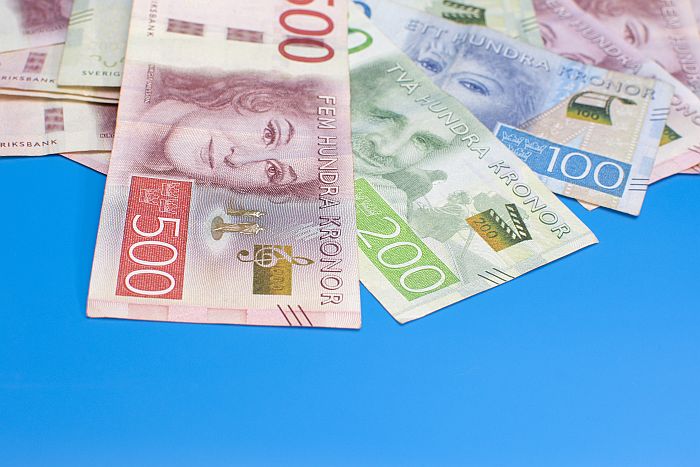 Scandi Standard reports strong recovery | WATTPoultry.com