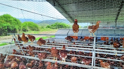 The adoption of cage-free egg production in Colombia has been driven by economics rather than consumer demand. Dr. Vincent Guyonnet
