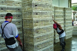 Dragging stacked cages across the floor reduces their useful life. Investment in a simple cart would result in the cages lasting for longer and staff tiring less quickly. Eduardo Cervantes López