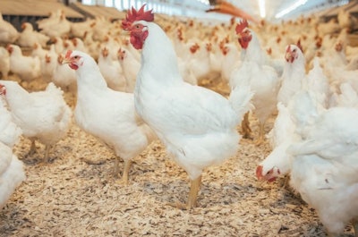 Members of Congress are urging USDA and USTR officials to put pressure on their Chinese counterparts to follow the agreed-upon regionalization protocols for allowing U.S. poultry to enter China.