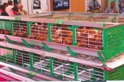 0712PIweb-PIspace1-1