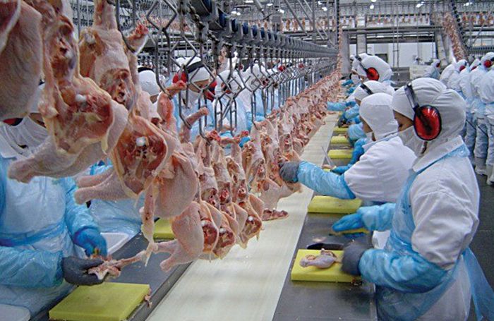 Poultry deals processing plants