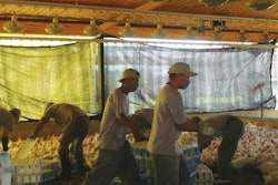 Darkening 1604 P Ipoultryprocessing2