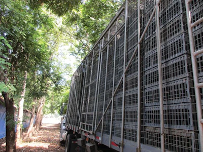 Simple steps to minimize poultry processing rejects | WATTAgNet ...