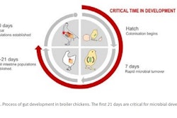Native 2.5_Dupont article