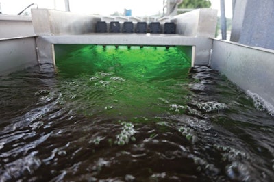 Pendergrass Wayne Uv Unit