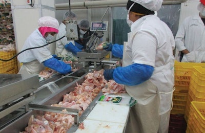 Poultry Processing Workstation 2