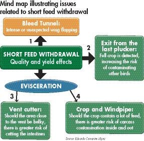 poultry-processing-mind-map