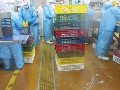 Poultry Processing Plant 4