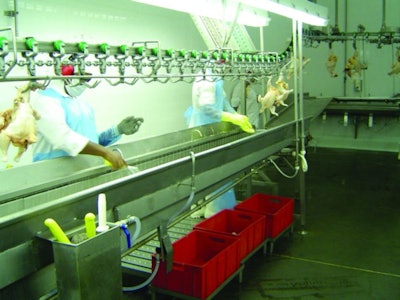 Poultry Processing Trough