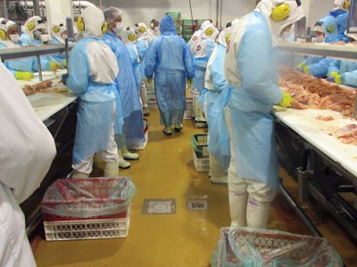 Processing Plant Floor 2