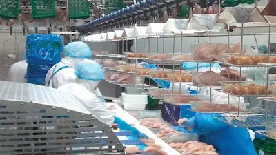 Suspended Transport Cages 3