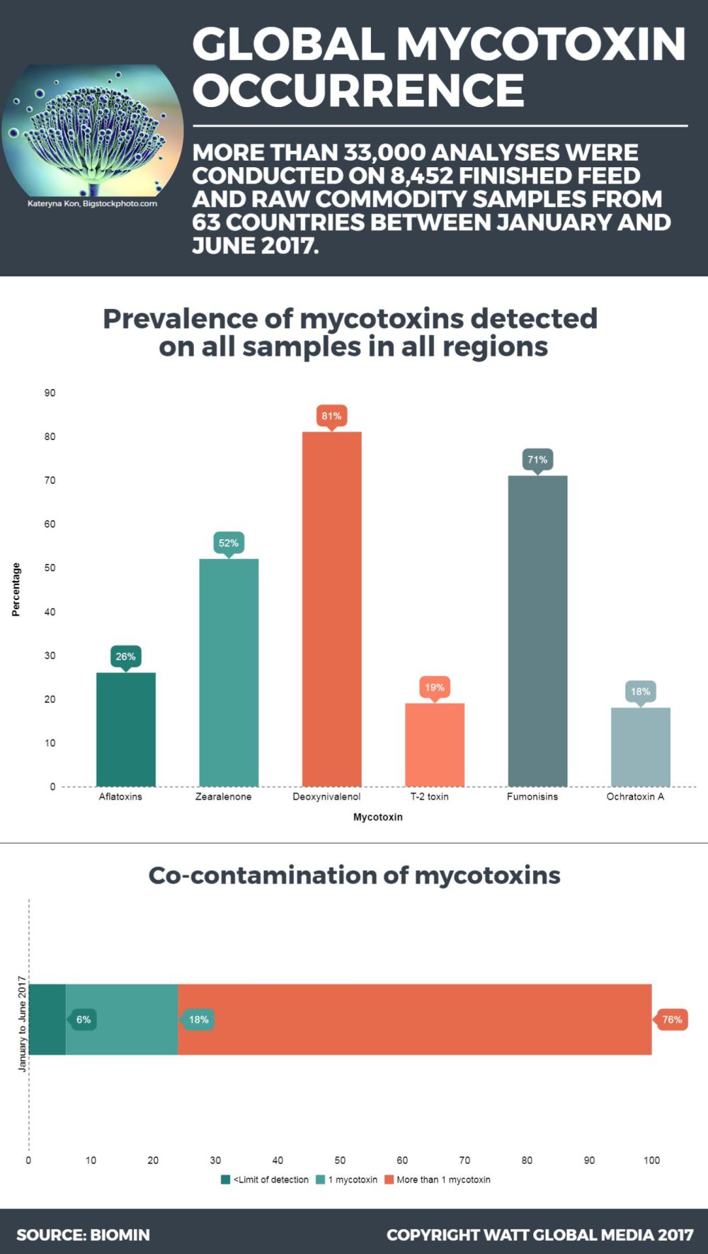 Infographic: Global Mycotoxin Occurrence | WATTAgNet | WATTPoultry.com