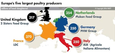 Broiler 1602 P Ieuropeanpoultryleaders1