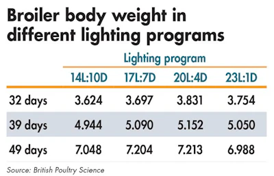 Why broilers need darkness everyday | WATTPoultry.com