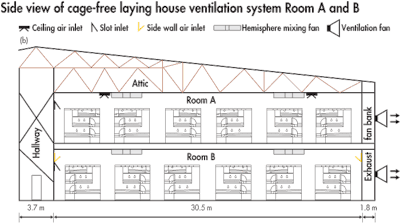 Cage Free Laying House Side View