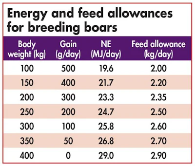 Nutrition guidelines for feeding breeding boars | WATTAgNet ...