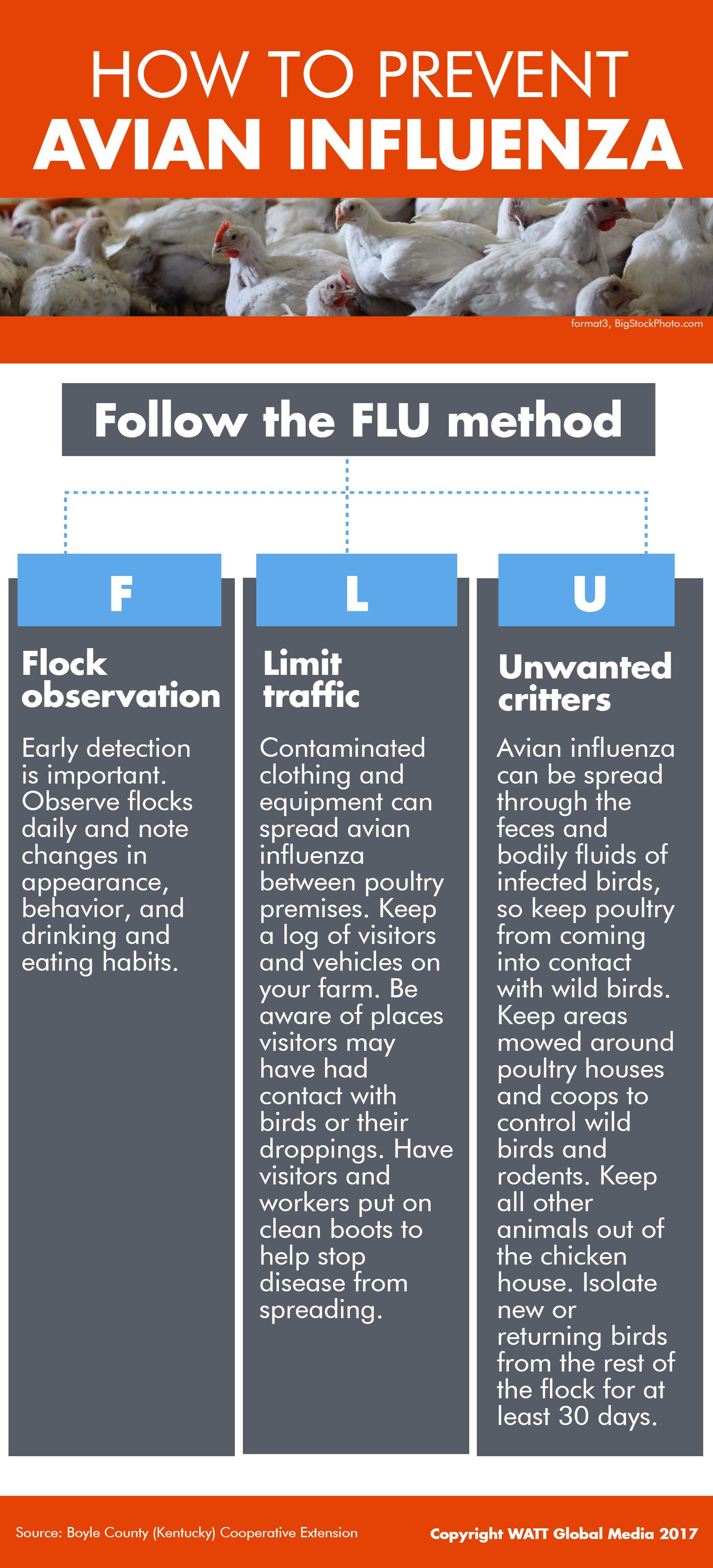 Infographic: How to prevent avian influenza | WATTAgNet | WATTPoultry.com