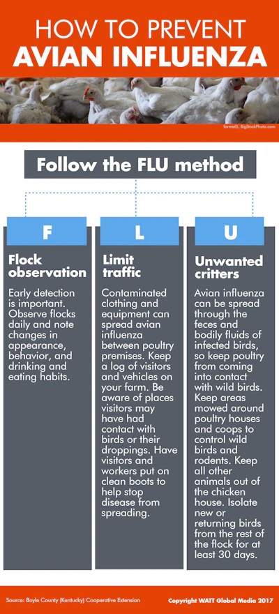 Infographic: How to prevent avian influenza | WATTAgNet | WATTPoultry.com