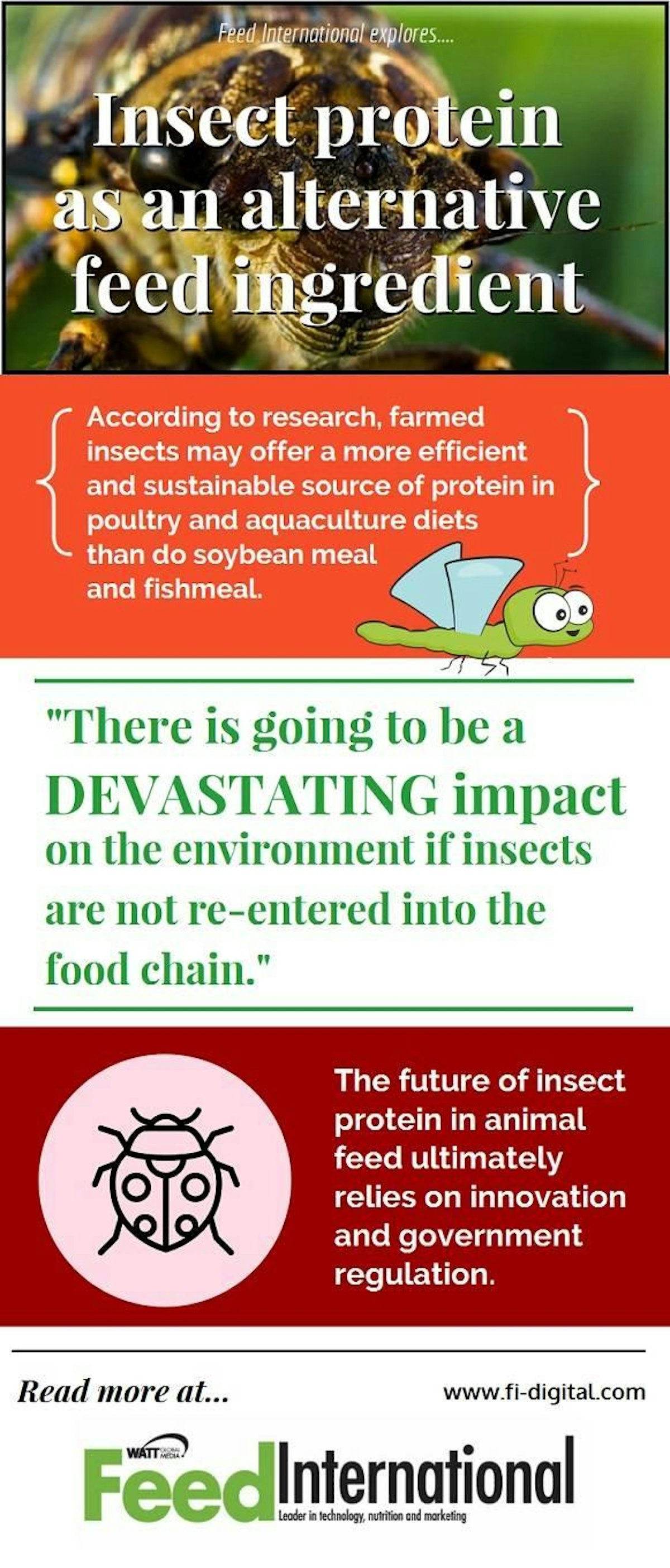 Frontiers  Insects as an alternative protein source for poultry