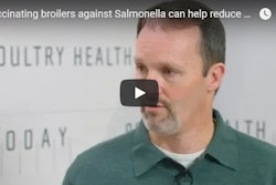 PoultryHealthToday salmonella