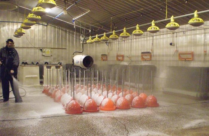 10 tips for cleaning, disinfecting broiler houses | WATTAgNet ...