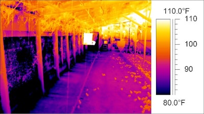 Thermal Imaging Winter Care