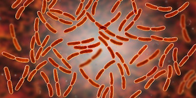 Gut Bacteria Reds