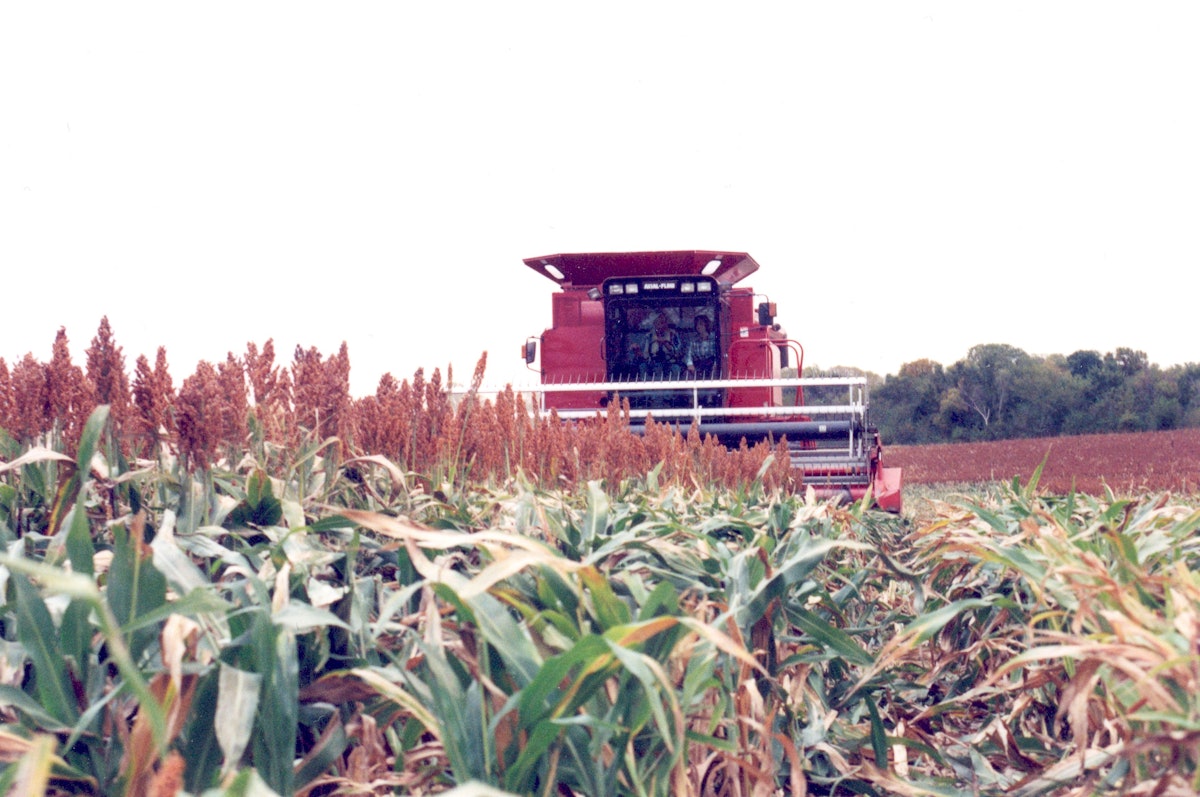When you’re nonetheless in operation, you’re farming sustainably