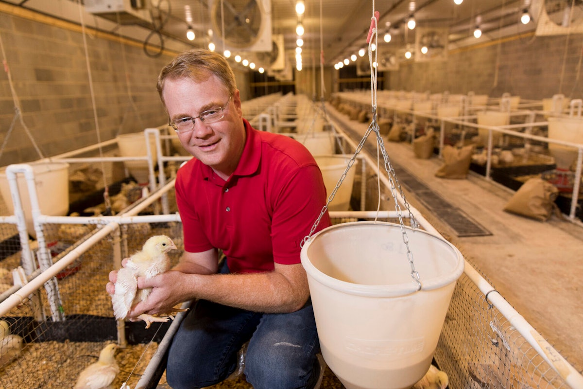 What sort of jobs are poultry science graduates touchdown?