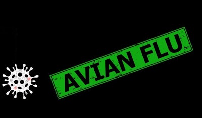Avian Flu Virus Green Sign