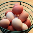 Brown And White Eggs In Basket