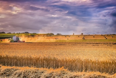 Wheat Harvest With Tractor In Field Analogicus Pixabay