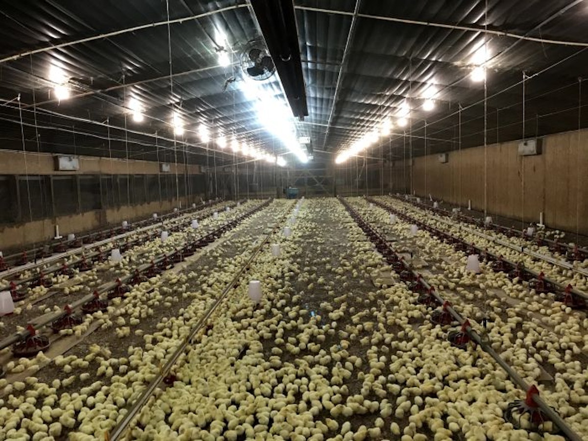 Cobb expands footprint in Africa with joint venture