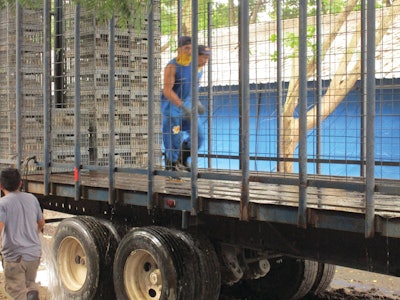 Spraying birds with water while they wait on the trucks will help to prevent heat stress and possible death.