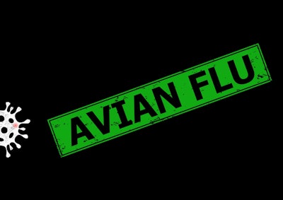 Avian Flu Green