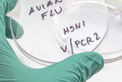 Avian Flu Lab