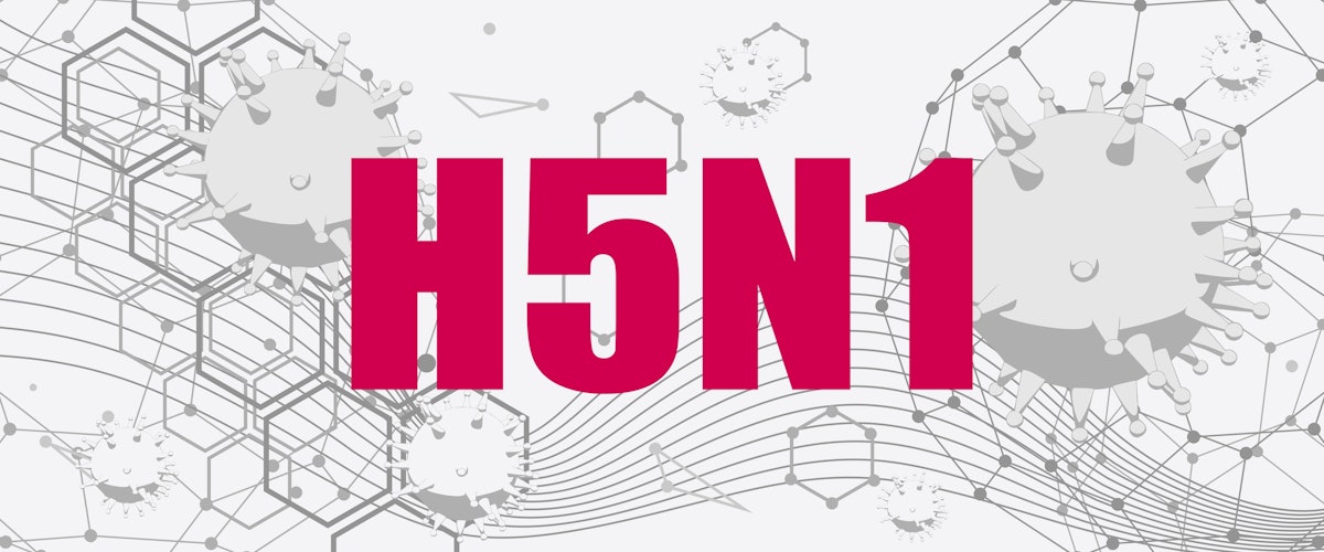 HPAI hits Missouri broiler breeders